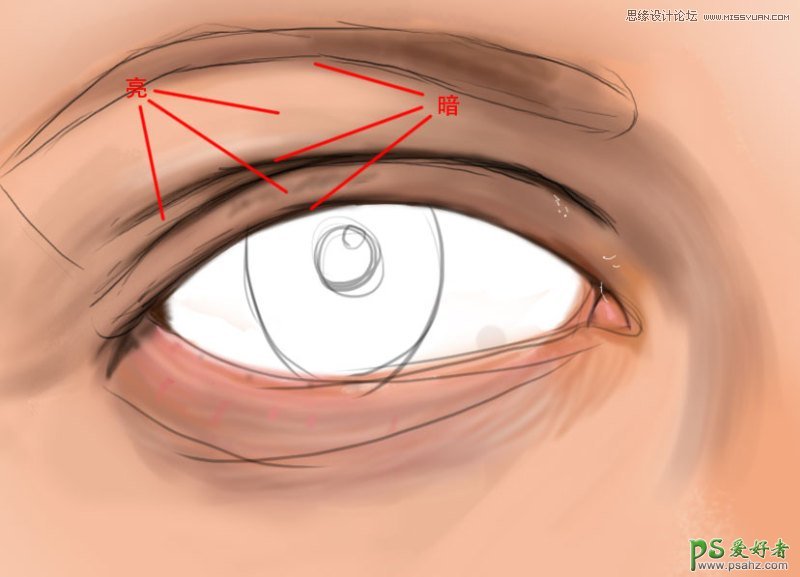 PS人像手绘教程实例：详细解析手绘逼真的人像眼睛，眼睛的画法