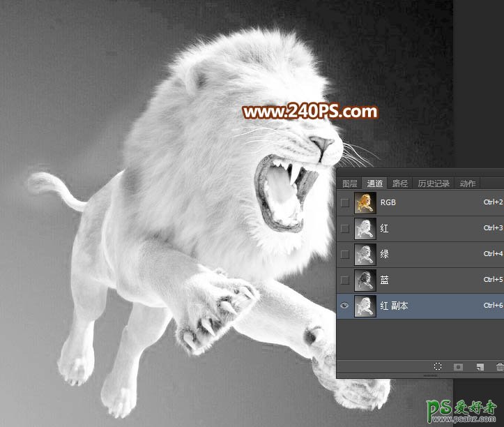 Photoshop通道抠图教程：完美抠出长毛的狮子素材图，跃起的雄狮