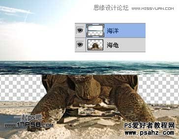 PS图片合成教程：合成一幅乌龟背上的海岛