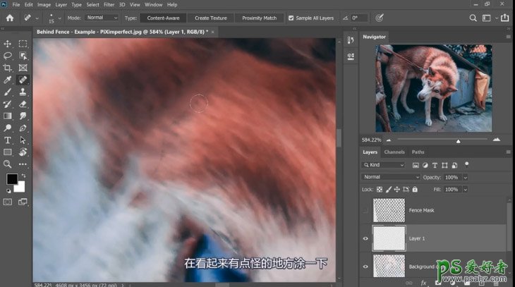 PS抠图大神教你如何快速完美的去除宠物狗图像中的铁丝网纹。