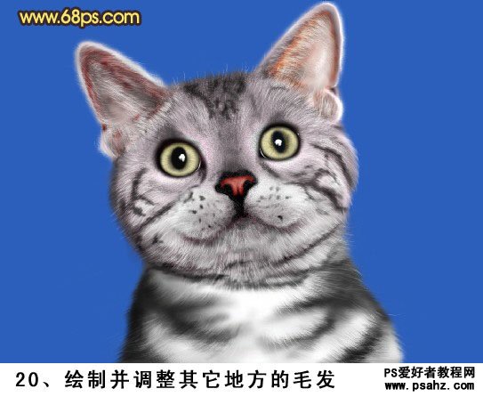 photoshop手绘可爱的小灰猫