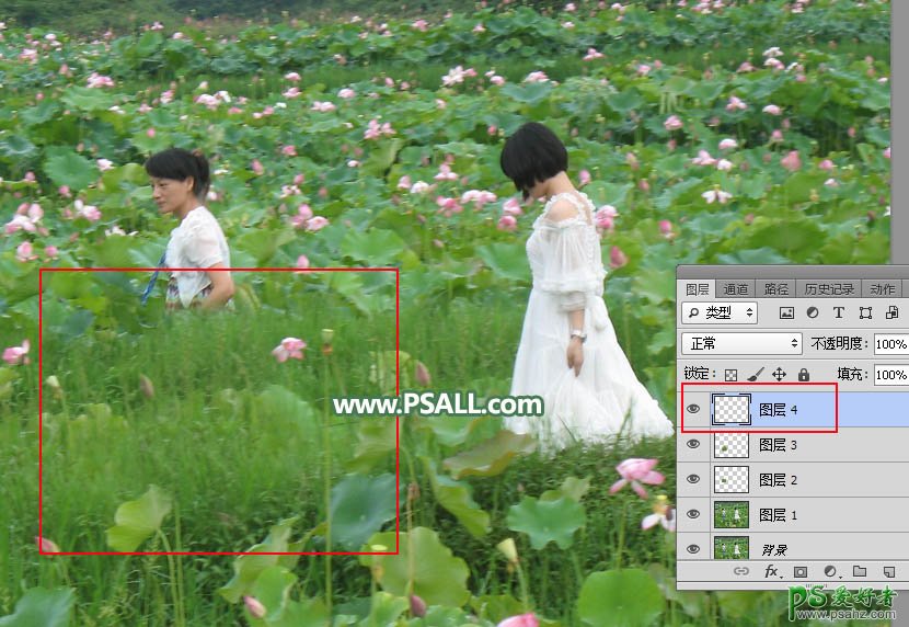 Photoshop快速抠出荷花风景图片中多余的人物，人物抠图实例教程