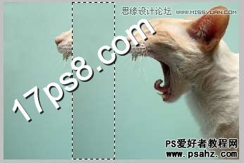 photoshop创意合成一只喷火的猫