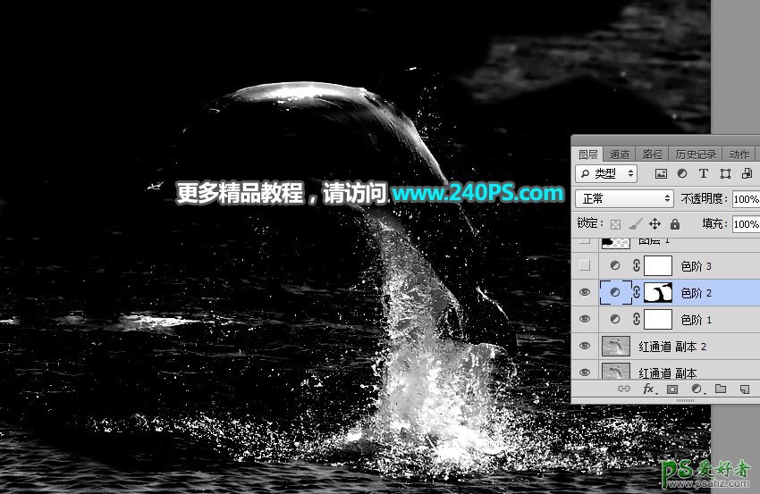 利用Photoshop通道及调色工具快速把跃出水面的海豚素材图片