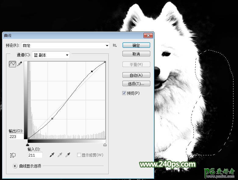 PS通道抠图教程：完美抠出可爱的狗狗图片，多毛的小狗并更换背景