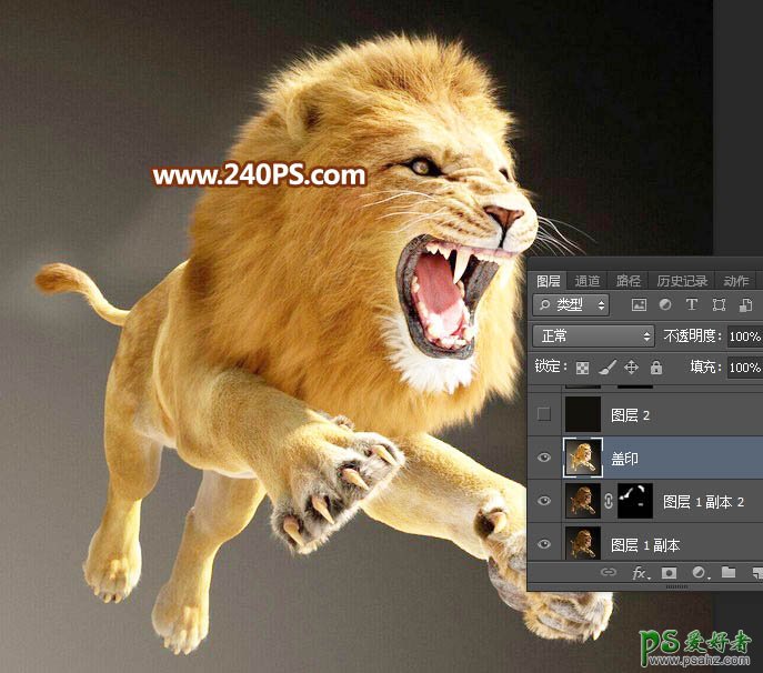 Photoshop通道抠图教程：完美抠出长毛的狮子素材图，跃起的雄狮