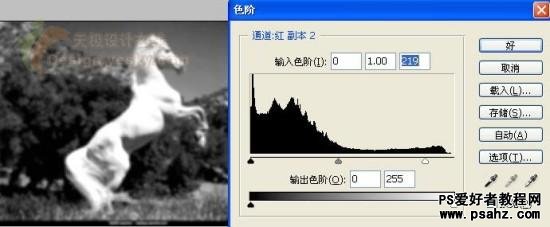 PS滤镜特效教程：打造草原上奔跑中的金马