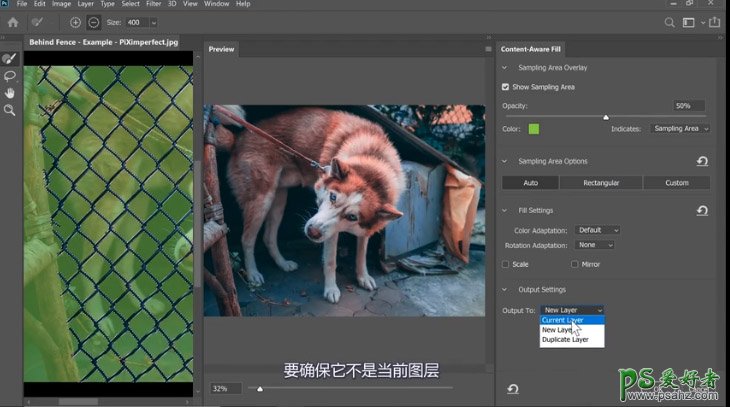 PS抠图大神教你如何快速完美的去除宠物狗图像中的铁丝网纹。