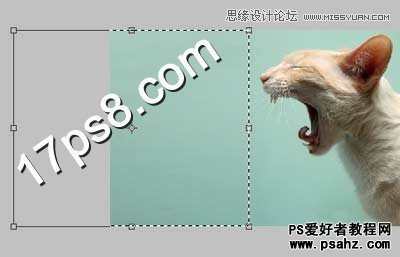 photoshop创意合成一只喷火的猫