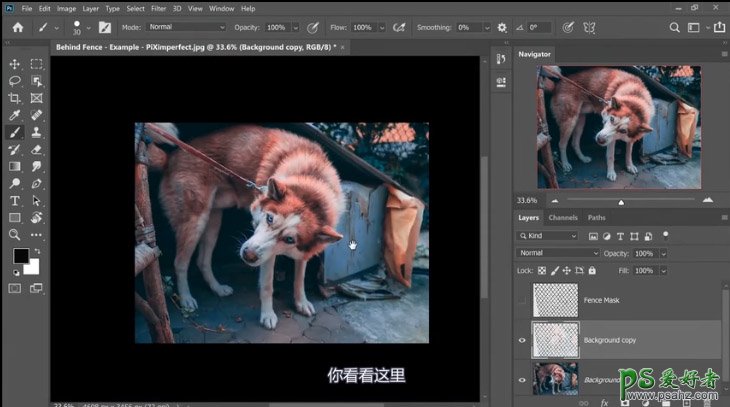 PS抠图大神教你如何快速完美的去除宠物狗图像中的铁丝网纹。