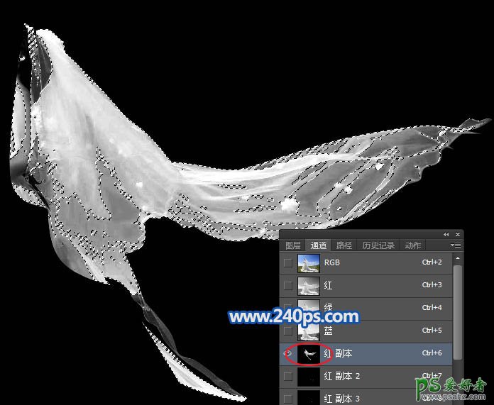 PS婚纱照抠图教程：利用钢笔及通道工具抠出复杂透明的婚纱照