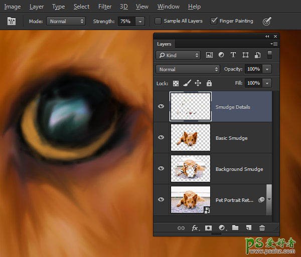 PS转手绘教程：学习用涂沫工具快速把宠物狗照片制作成绘画效果