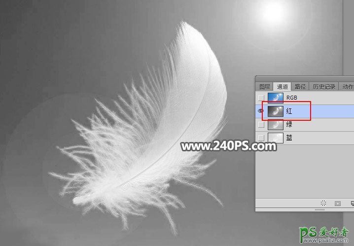 利用photoshop通道工具抠出洁白的羽毛，学习PS怎么抠绒毛图片。