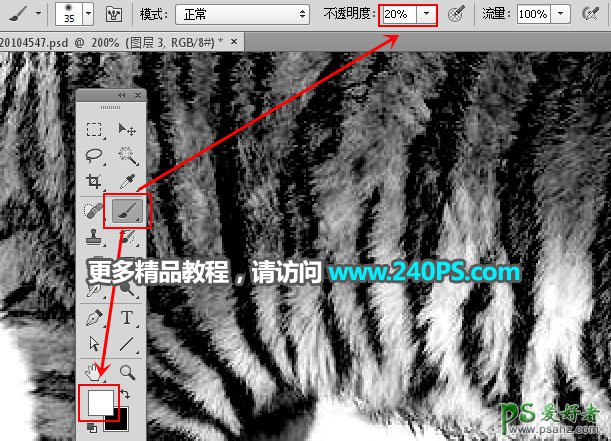 PS通道抠图教程：巧用多个通道快速抠出正在晒太阳的东北虎图片