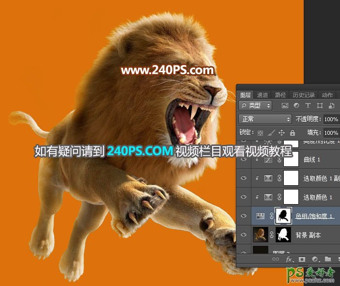 Photoshop通道抠图教程：完美抠出长毛的狮子素材图，跃起的雄狮