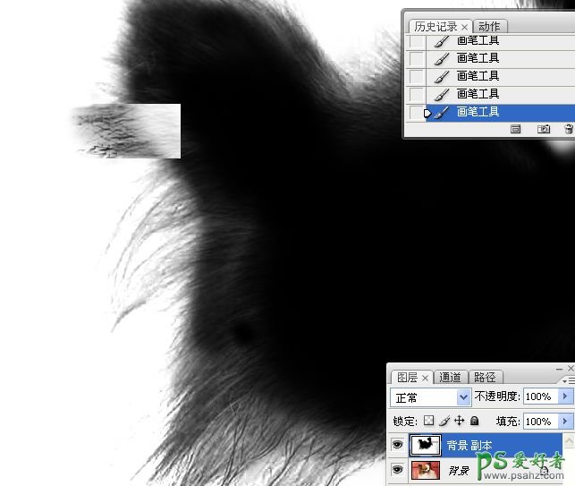 PS抠图教程：利用通道和画笔快速抠出可爱的长毛宠物狗