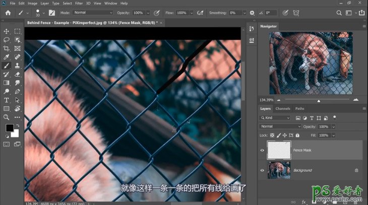 PS抠图大神教你如何快速完美的去除宠物狗图像中的铁丝网纹。