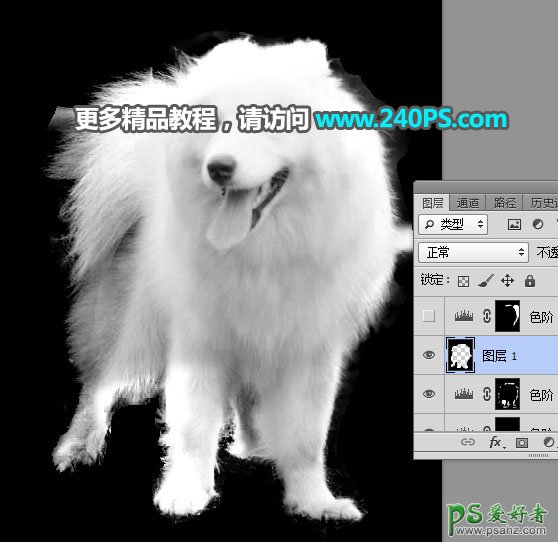 PS换背景教程：用多通道抠图技术给背景复杂的萨摩狗狗照片换背景