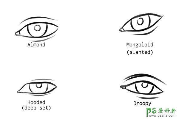 PS大神教你快速手绘一支质感逼真的眼睛-鼠绘非常细腻的眼睛