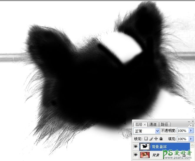 PS抠图教程：利用通道和画笔快速抠出可爱的长毛宠物狗