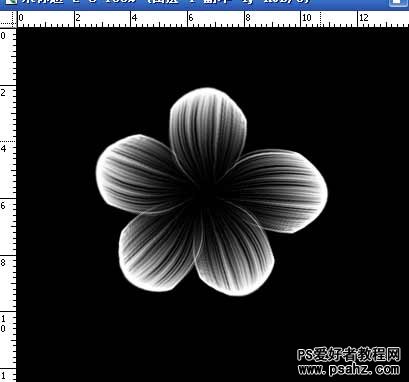 PS滤镜特效教程：打造漂亮的奇丽花朵