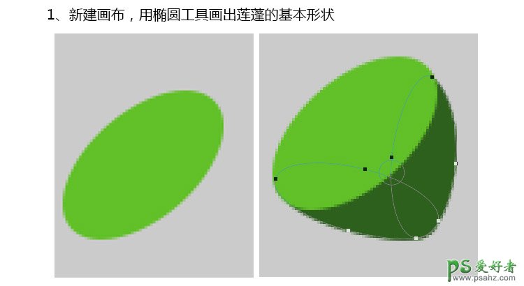 PS失量图绘制教程：学习手绘漂亮精致的青色莲蓬失量图素材。