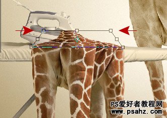 国外PS合成教程：创意打造一只脱了衣服的长颈鹿