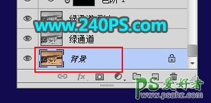 PS动物素材抠图教程：用通道及钢笔工具完美抠出草原上威武的花豹