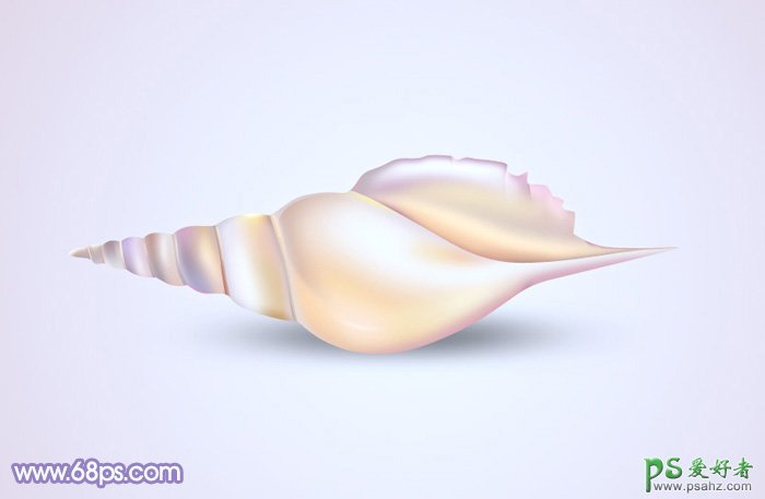 photoshop手工绘制一个漂亮的小海螺-小海螺素材图片