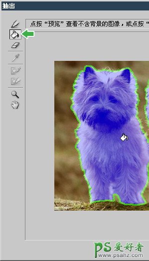 教你使用photoshop抽出滤镜对毛茸茸的小狗小猫图片快速抠图