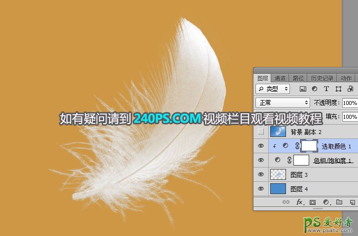 利用photoshop通道工具抠出洁白的羽毛，学习PS怎么抠绒毛图片。