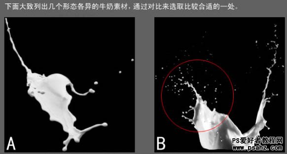 Photoshop创意合成漂亮的牛奶花朵，牛奶蝴蝶兰