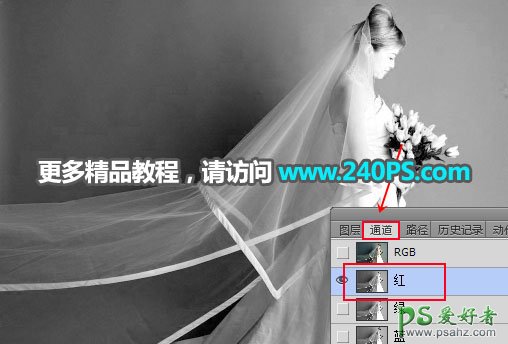 PS通道抠图教程：用钢笔及通道工具完美抠出半透明的美女婚纱照