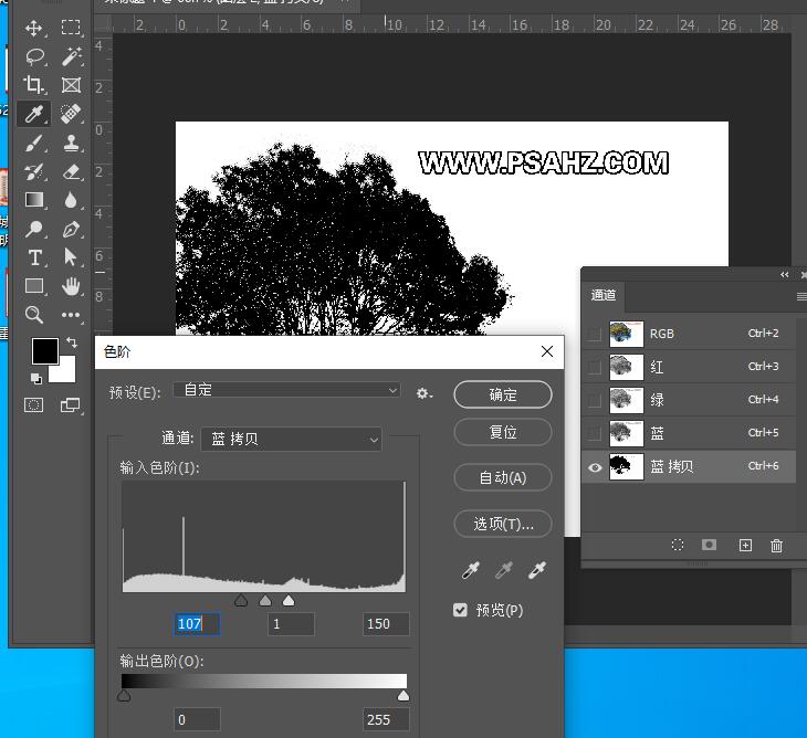 PS抠图教程：用通道及色阶工具快速抠出户外风景照片中的一棵大树