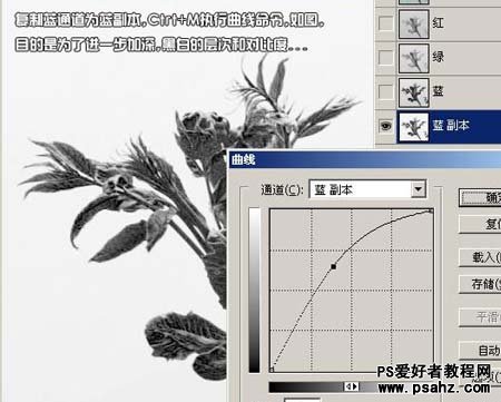 PS通道抠图教程：抠出鲜嫩的绿色植物图片教程