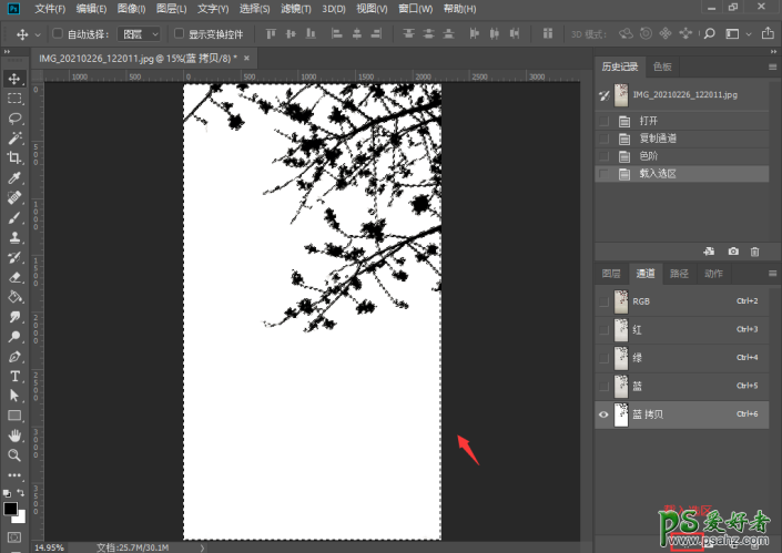 巧用Photoshop通道工具快速抠出中国风梅花素材图,抠出细小的花朵