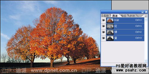 PS抠图基础教程：利用通道给秋景图片换背景