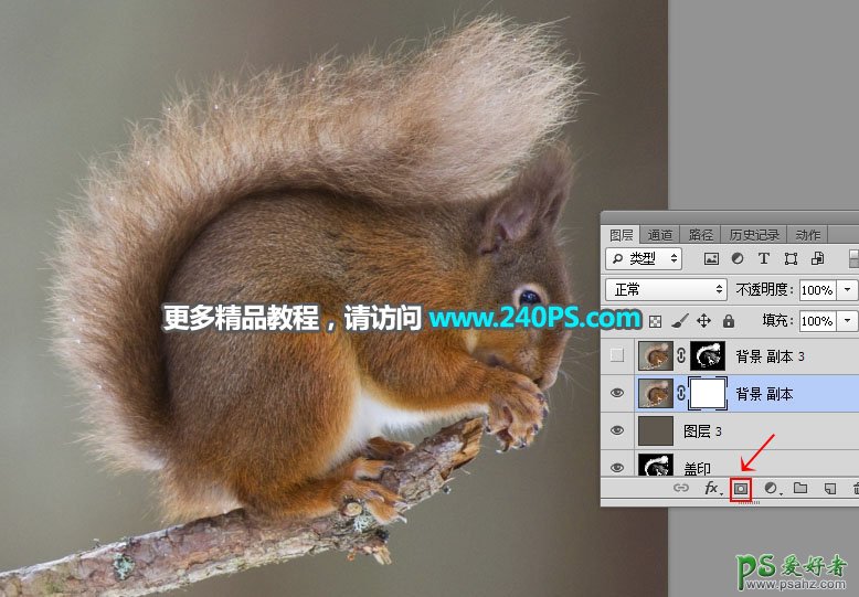 PS抠图教程：学习用通道、调色 选区等工具完美抠出小松鼠素材图