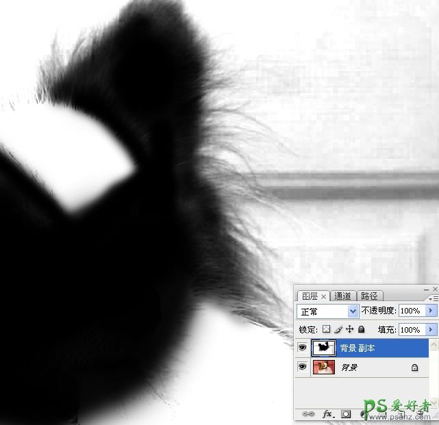 PS抠图教程：利用通道和画笔快速抠出可爱的长毛宠物狗