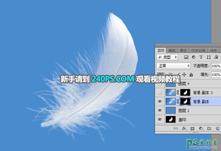 利用photoshop通道工具抠出洁白的羽毛，学习PS怎么抠绒毛图片。