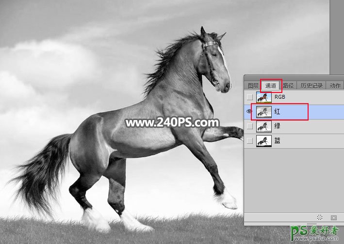 PS抠图教程：学习用通道工具及后期修复技术完美抠出草原上的骏马