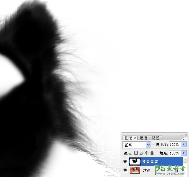 PS抠图教程：利用通道和画笔快速抠出可爱的长毛宠物狗