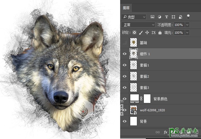 Photoshop手工制作漂亮的铅笔画效果的狼头像，涂鸦素描野狼头像