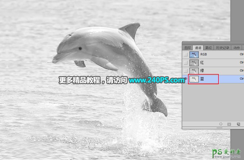 利用Photoshop通道及调色工具快速把跃出水面的海豚素材图片