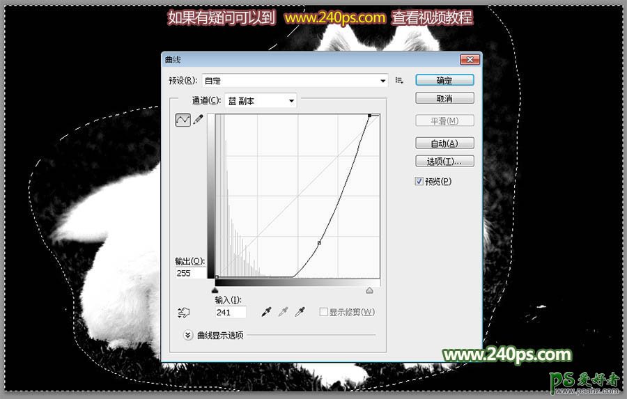 PS通道抠图教程：完美抠出可爱的狗狗图片，多毛的小狗并更换背景