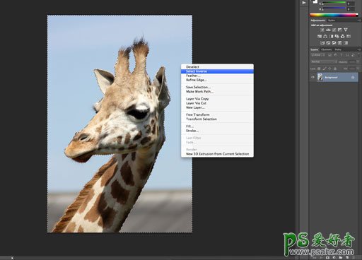 PS怎么抠图？学习用ps快速选择工具怎么给长颈鹿图片进行抠图换背