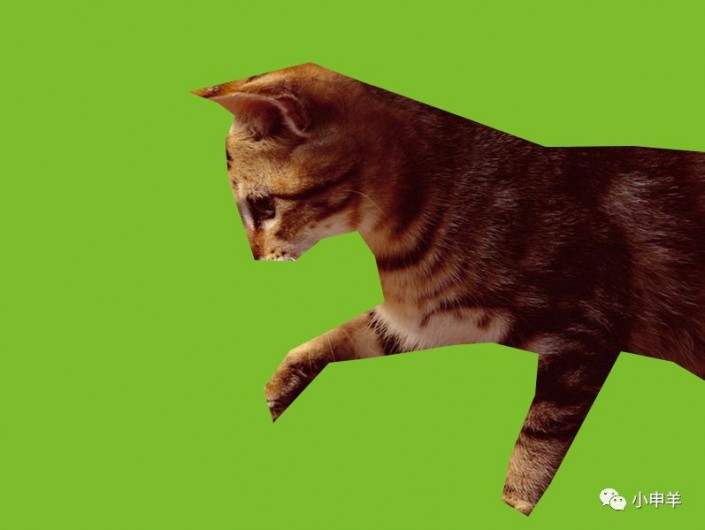 PS动物抠图教程：学习抠正在玩耍的可爱的小猫咪素材图片。