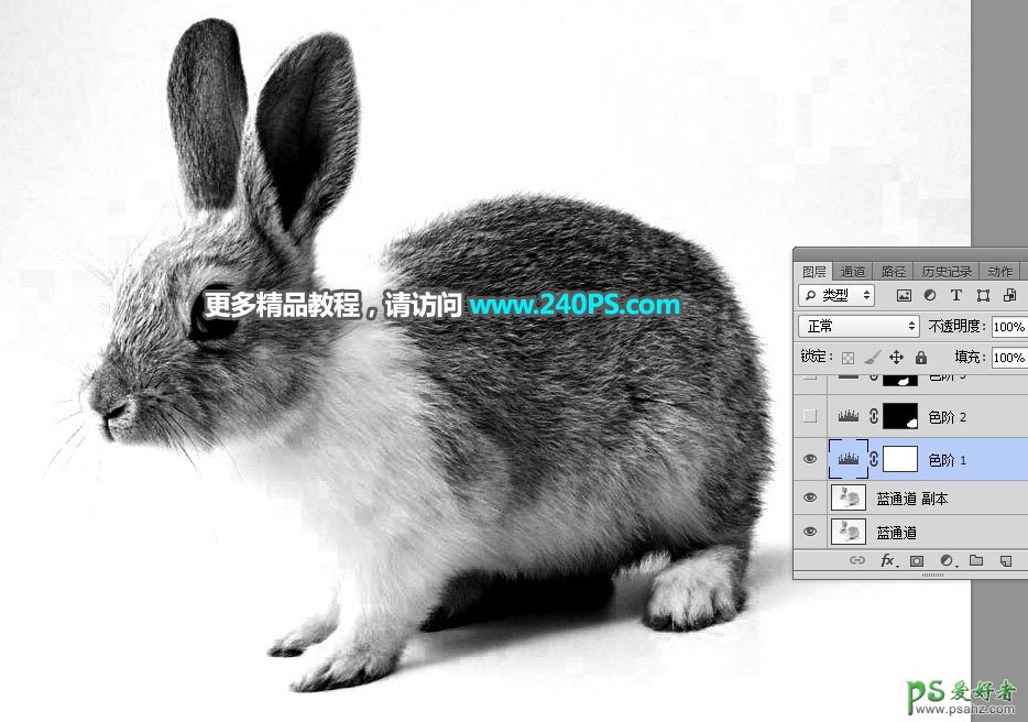 PS通道抠图教程：学习怎么快速抠出白褐色可爱兔子素材图片。