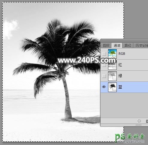 学习PS怎么抠图：利用通道工具快速抠出椰树素材图片。
