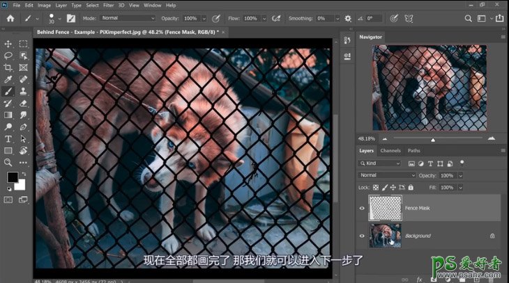 PS抠图大神教你如何快速完美的去除宠物狗图像中的铁丝网纹。